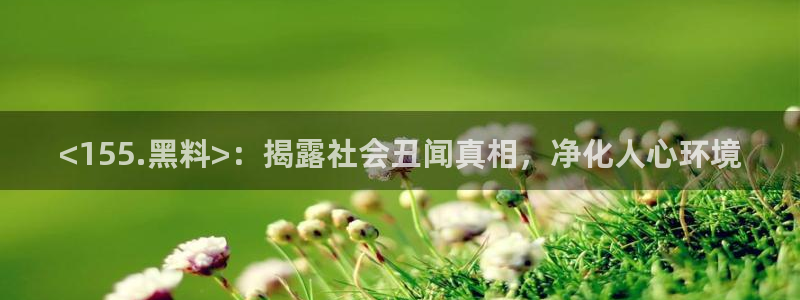 吃瓜：<155.黑料>：揭露社会丑闻真相，净化人心环境
