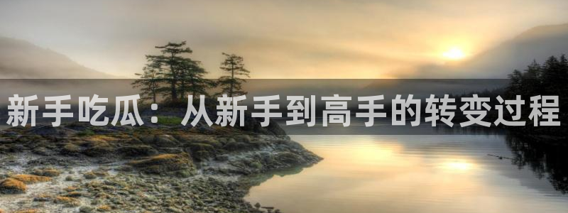 黑料,：新手吃瓜：从新手到高手的转变过程