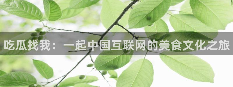 24小时吃瓜不间断：吃瓜找我：一起中国互联网的美食文化之旅