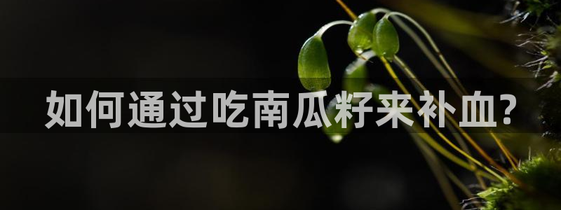黑料爆料：如何通过吃南瓜籽来补血?
