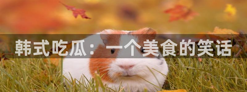 nanataipei今日吃瓜