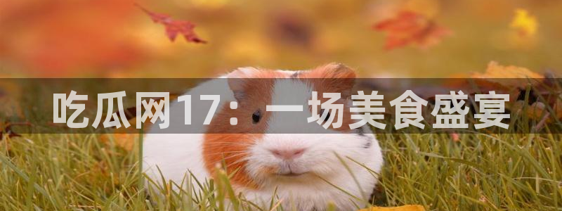 51cgfun吃瓜网怎么进：吃瓜网17：一场美食盛宴