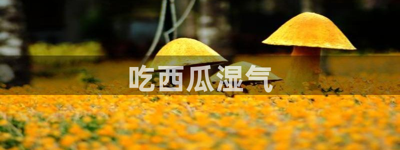 91吃瓜今日吃瓜入口：吃西瓜湿气
