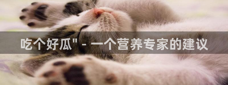 51吃瓜备用线路