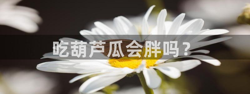 吃瓜爆料网不打烊回家