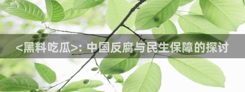 cggolive吃瓜网：<黑料吃瓜>: 中国反腐与民生保障的探讨