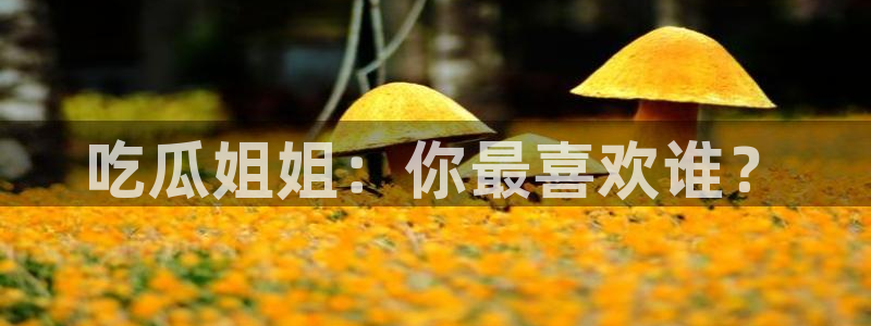 51吃瓜全网更新最快：吃瓜姐姐：你最喜欢谁？