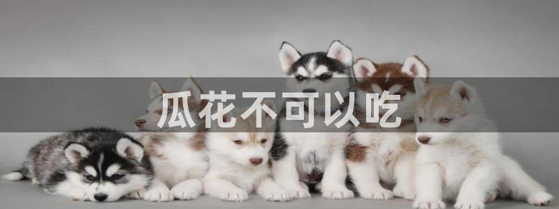 51cgfun吃瓜今日吃瓜必吃：瓜花不可以吃