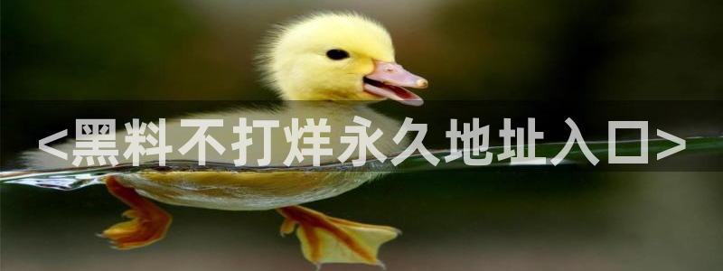 51吃瓜网每日榜单：<黑料不打烊永久地址入口>