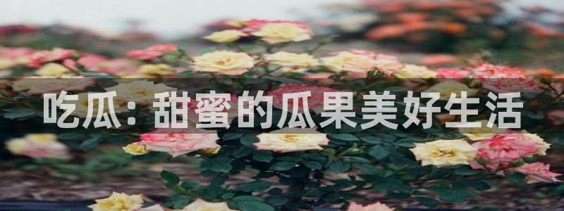 www.吃瓜:吃瓜: 甜蜜的瓜果美好生活