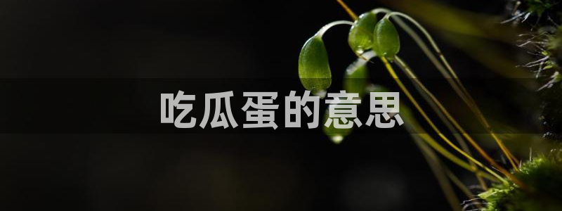 五一吃瓜今日必吃：吃瓜蛋的意思