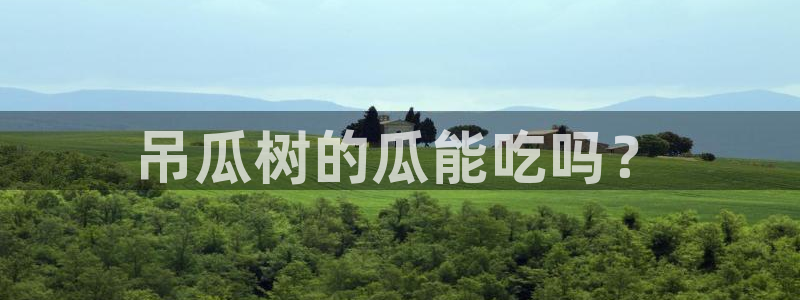 吃瓜吃到自己死讯：吊瓜树的瓜能吃吗？