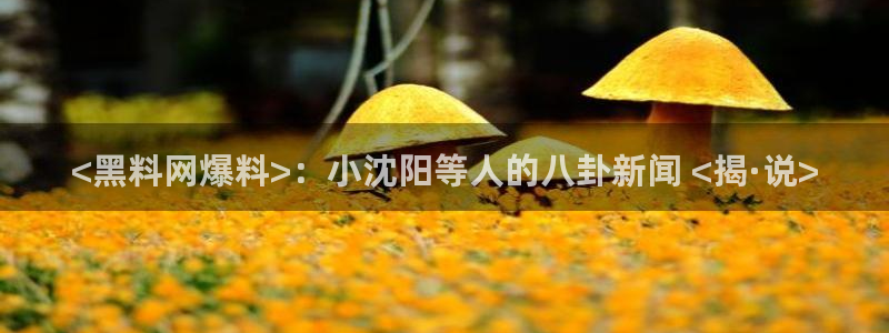 91吃瓜今日吃瓜入口：<黑料网爆料>：小沈阳等人的八卦新闻 <揭·说>