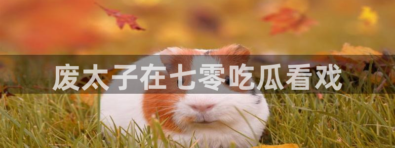 51吃瓜网今日必吃大瓜：废太子在七零吃瓜看戏