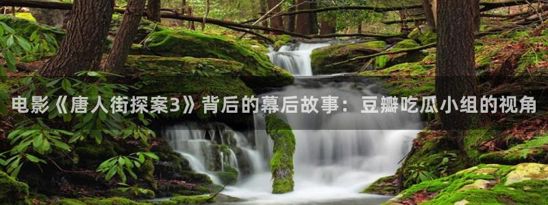 51cg1.ct吃瓜张津瑜：电影《唐人街探案3》背后的幕后故事：豆瓣吃瓜小组的视角