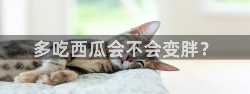 吃瓜新闻:多吃西瓜会不会变胖?