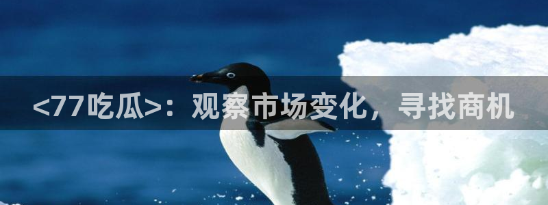 网站吃瓜