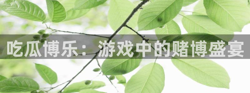51吃瓜nanataipei:吃瓜博乐:游戏中的赌博盛宴