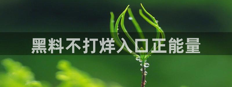 51吃瓜最新吃瓜入口:黑料不打烊入口正能量