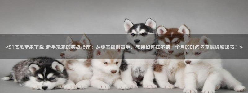 51吃瓜今日吃瓜最新网址