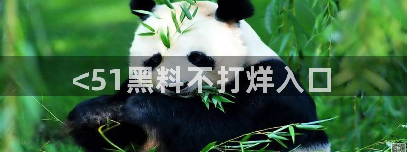 51吃瓜群众路线：<51黑料不打烊入口