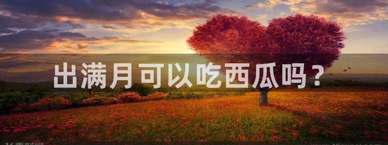 黑料专区