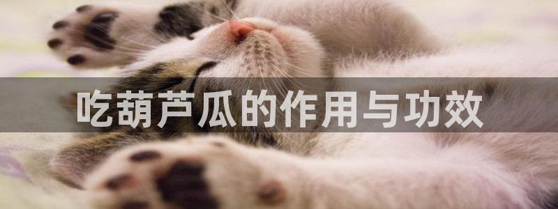 网站吃瓜：吃葫芦瓜的作用与功效