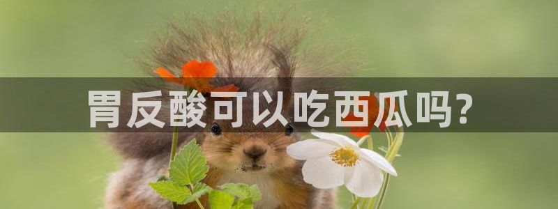 51吃瓜全网更新最快点：胃反酸可以吃西瓜吗?