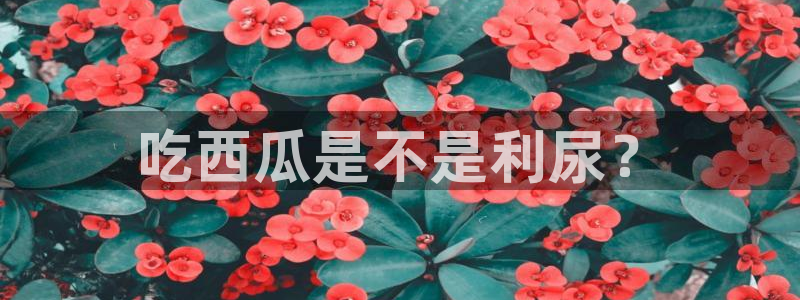 911今日必吃大瓜：吃西瓜是不是利尿？